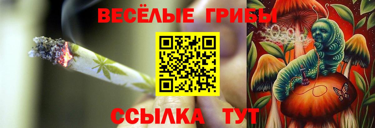 Галлюциногенные грибы Psilocybine cubensis  Вход с VPN  Галлюциногенные грибы прущие грибы  Александров 