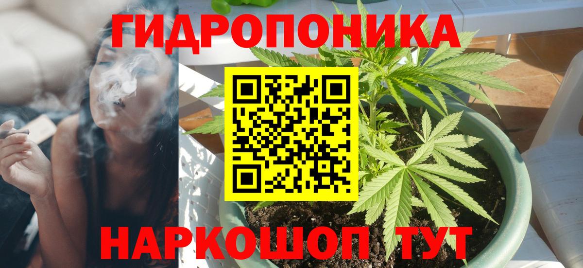 Бошки Шишки конопля Александров